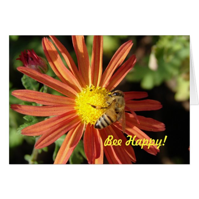 Bee on Mum, Bee Happy! Cards (Front Horizontal)