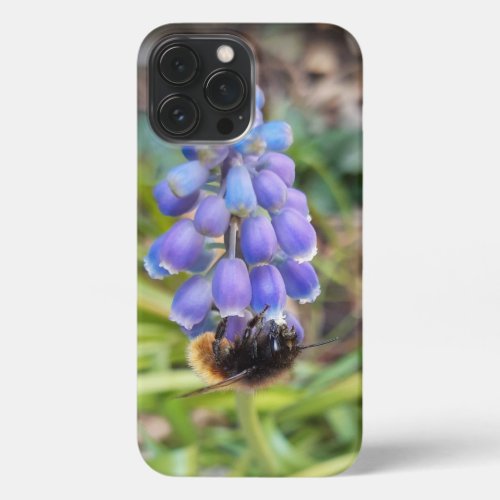 Bee on Muscari Armeniacum  Grape Hyacinth iPhone 13 Pro Max Case