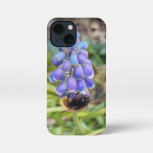 Bee on Muscari Armeniacum , Grape Hyacinth iPhone 13 Mini Case