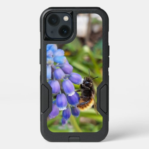 Bee on Muscari Armeniacum  Grape Hyacinth iPhone 13 Case