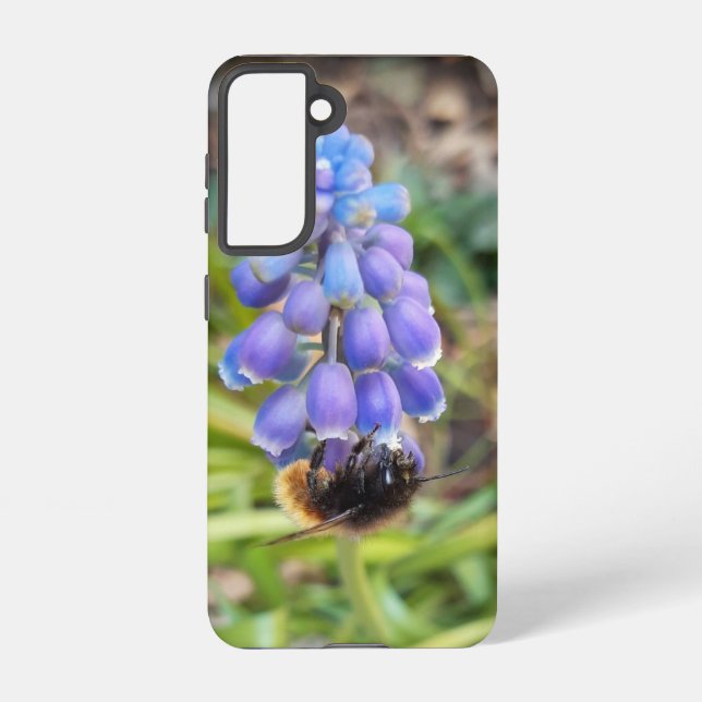 Bee on Muscari Armeniacum , Grape Hyacinth Samsung Galaxy Case (Back)