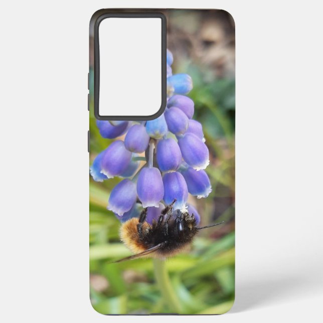 Bee on Muscari Armeniacum , Grape Hyacinth Samsung Galaxy Case (Back)