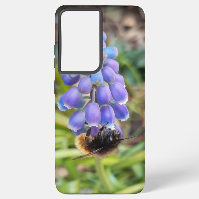Bee on Muscari Armeniacum , Grape Hyacinth Samsung Galaxy Case (Back)