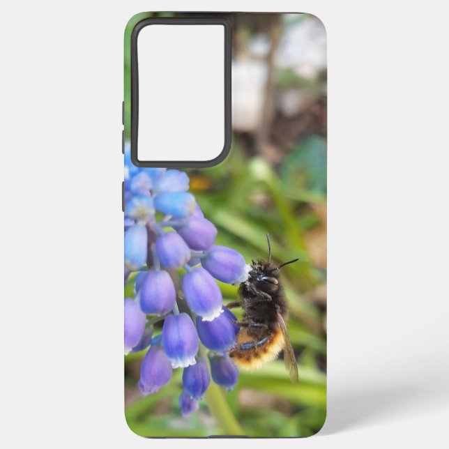 Bee on Muscari Armeniacum , Grape Hyacinth Samsung Galaxy Case (Back)