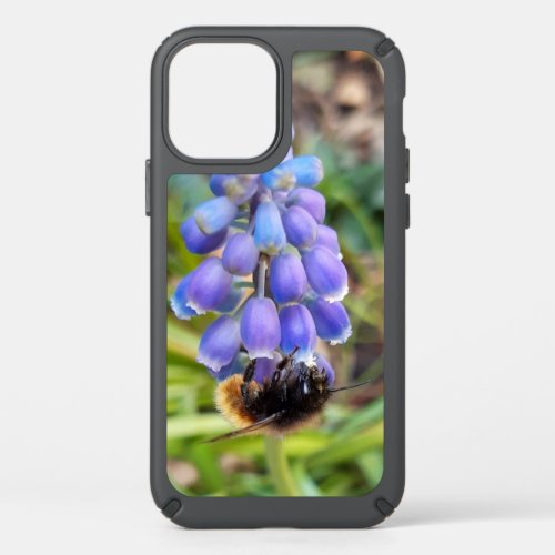 Bee on Muscari Armeniacum  Grape Hyacinth Speck iPhone 12 Case