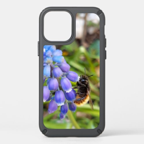 Bee on Muscari Armeniacum  Grape Hyacinth Speck iPhone 12 Case