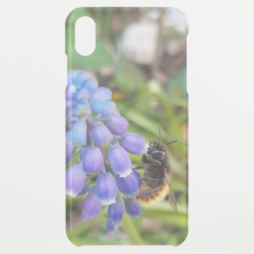Bee on Muscari Armeniacum  Grape Hyacinth iPhone XS Max Case