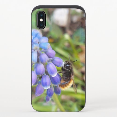 Bee on Muscari Armeniacum  Grape Hyacinth iPhone X Slider Case