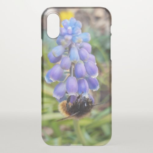 Bee on Muscari Armeniacum  Grape Hyacinth iPhone XS Case