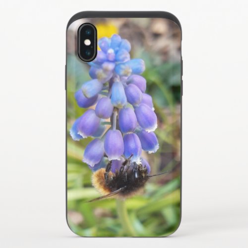 Bee on Muscari Armeniacum  Grape Hyacinth iPhone XS Slider Case