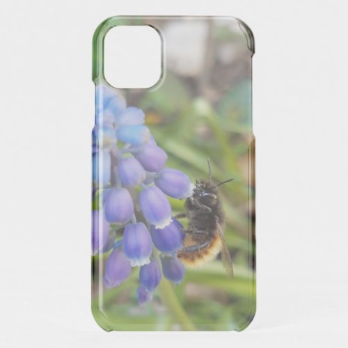 Bee on Muscari Armeniacum  Grape Hyacinth iPhone 11 Case