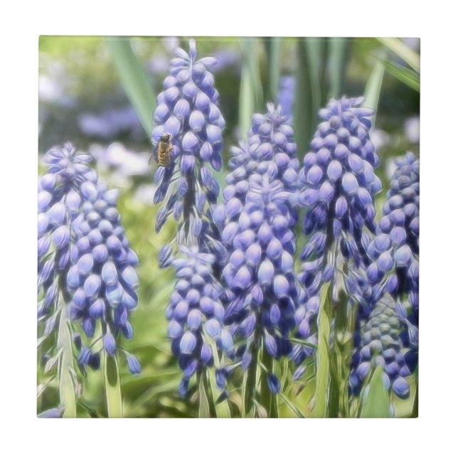 Bee On Muscari Flowers Ceramic Tile (Front)