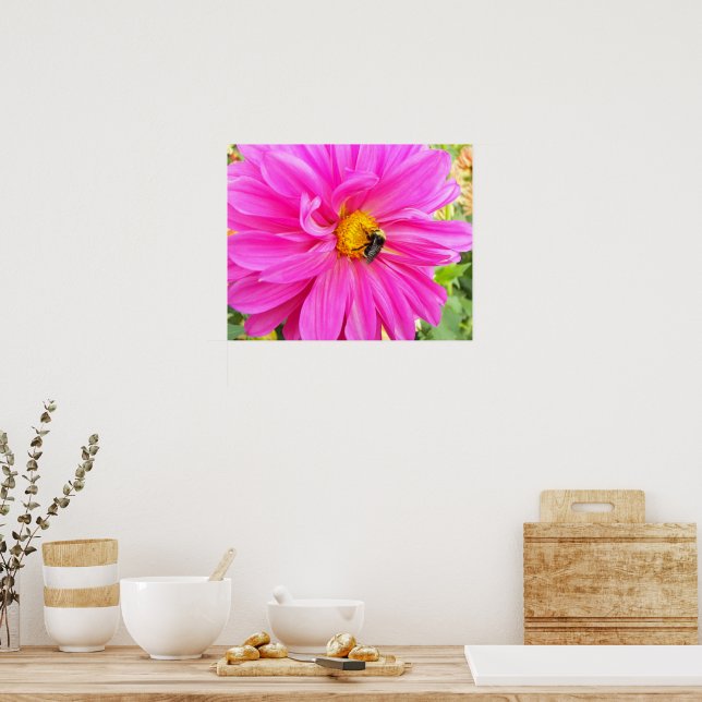 Bee on Pink Dahlia Floral Poster (Kitchen)