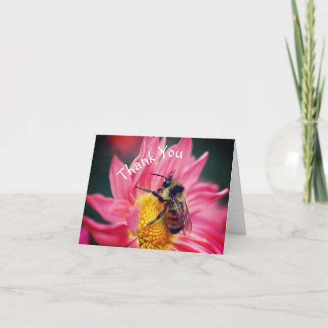Bee On Pink Daisy Flower Thank You Card (Front)