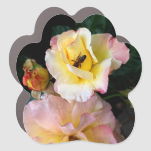  Bee on Pink Yellow Roses Flowers Car Magnet