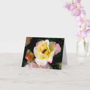 Bee on Pink Yellow Roses Flowers Card
