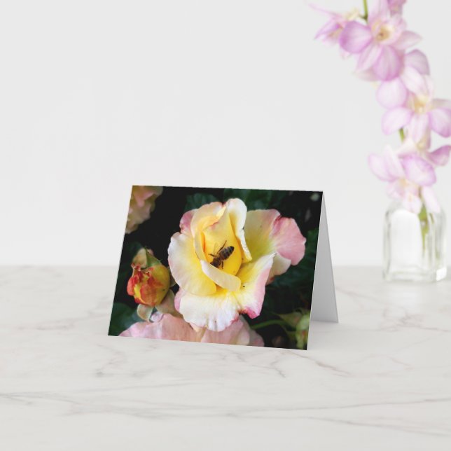  Bee on Pink Yellow Roses Flowers Card (Orchid)
