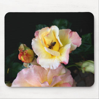 Bee on Pink Yellow Roses Flowers Mouse Pad