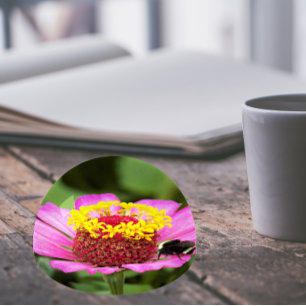 Bee on Pink Zinnia Floral Paperweight