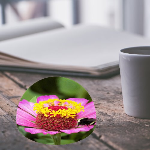 Bee on Pink Zinnia Floral Paperweight