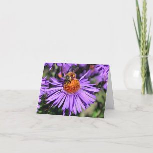 Bee On Purple Aster Flower Photography Note Card