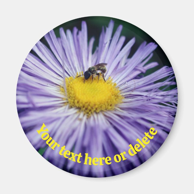 Bee On Purple Daisy Flower Personalized Magnet (Front)