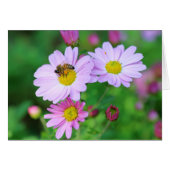 Bee On Purple Flower Blank Inside Photo Note Card (Front Horizontal)