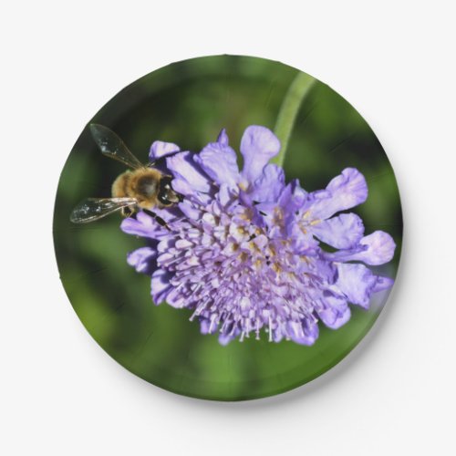 Bee on Purple Pincushion Flower Paper Plates