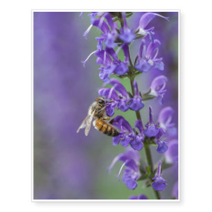 Bee on Purple Salvia Temporary Tattoos