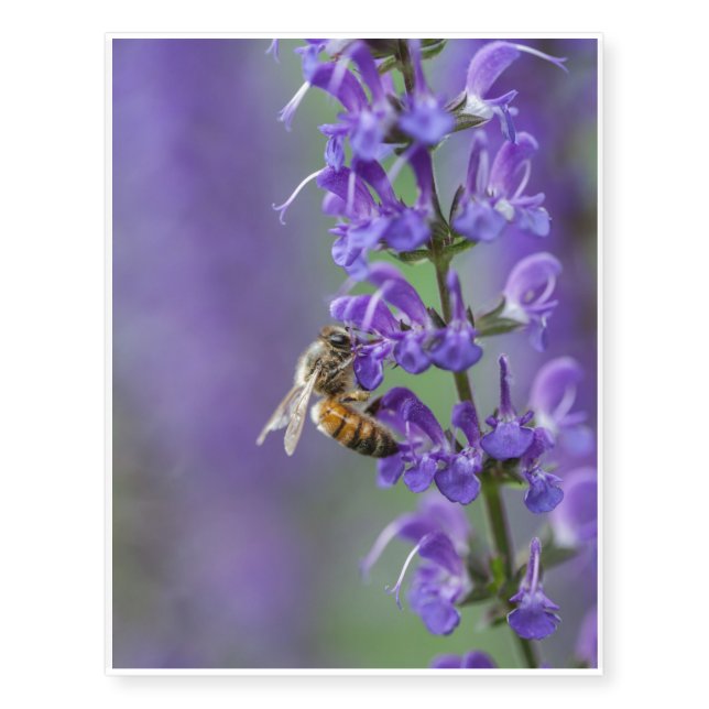 Bee on Purple Salvia Temporary Tattoos (Front)