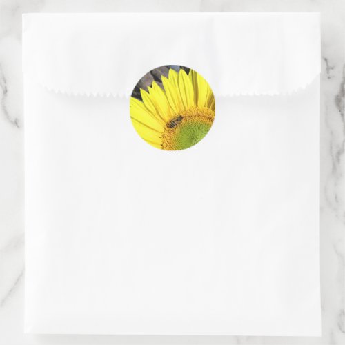 Bee On Sunflower Close Up Photograph Classic Round Sticker