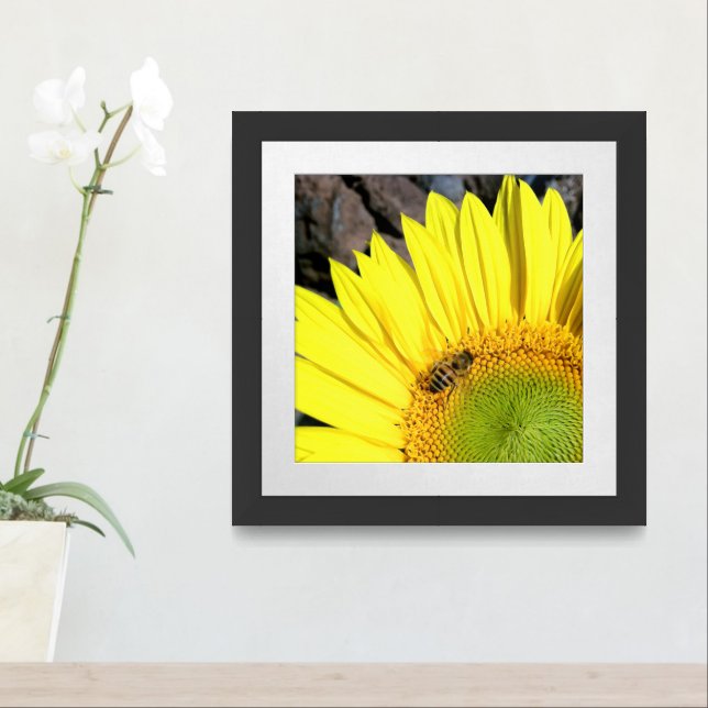 Bee On Sunflower Close Up Photograph Framed Art (Entryway)