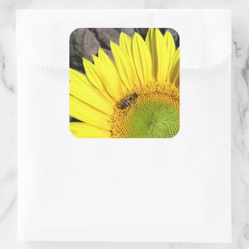 Bee On Sunflower Close Up Photograph Square Sticker