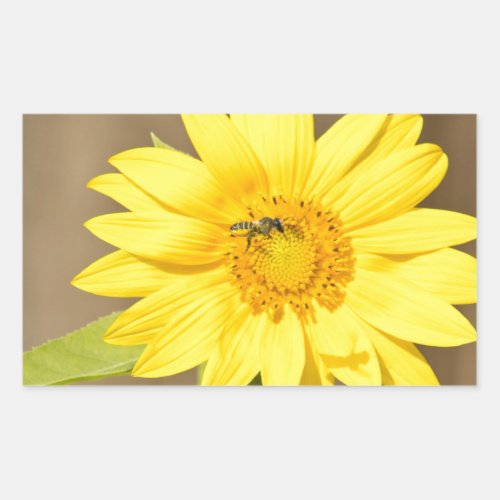 Bee on Sunflower Rectangular Sticker