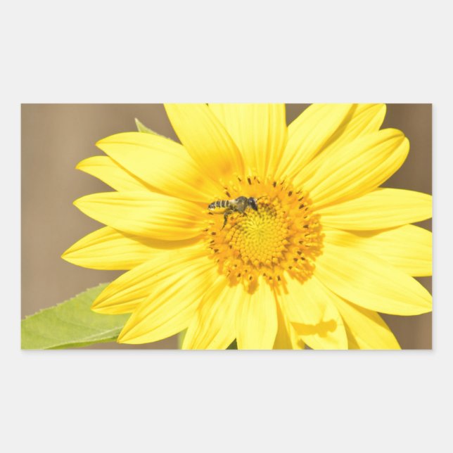 Bee on Sunflower Rectangular Sticker (Front)