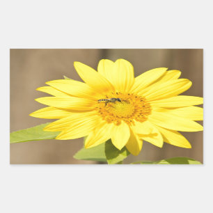 Bee on Sunflower Rectangular Sticker
