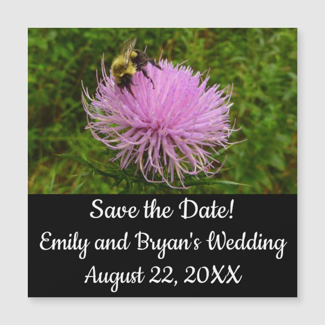 Bee on Thistle (Front)