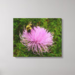 Bee on Thistle Flower Canvas Print