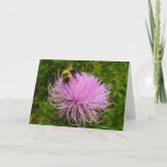 Bee on Thistle Flower Card