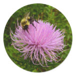 Bee on Thistle Flower Classic Round Sticker