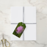 Bee on Thistle Flower Gift Tags