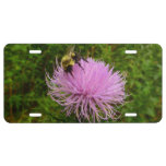 Bee on Thistle Flower License Plate