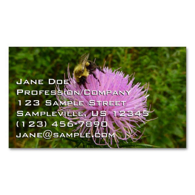 Bee on Thistle Flower Nature Business Card Magnet (Front)