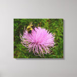 Bee on Thistle Flower Nature Canvas Print