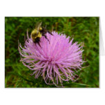 Bee on Thistle Flower Nature Card