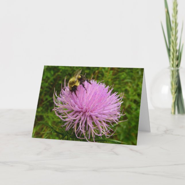 Bee on Thistle Flower Nature Card (Front)