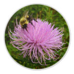 Bee on Thistle Flower Nature Ceramic Knob