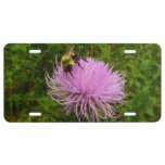 Bee on Thistle Flower Nature License Plate