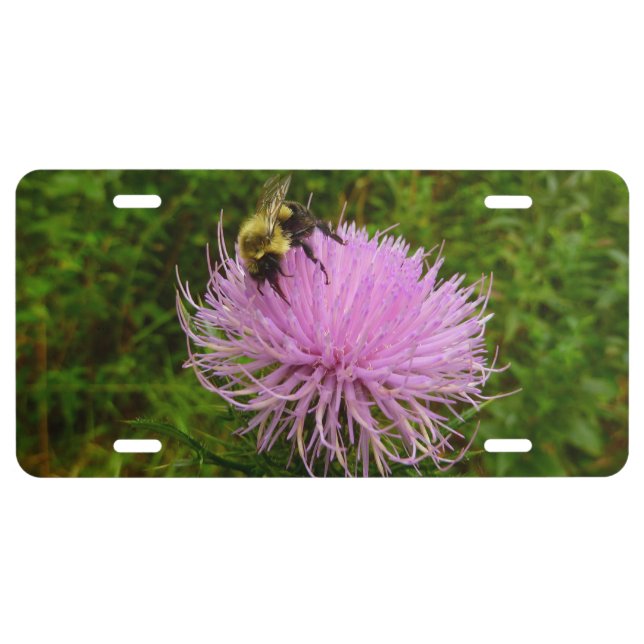 Bee on Thistle Flower Nature License Plate (Front)
