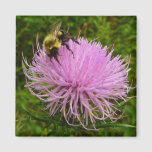 Bee on Thistle Flower Nature Magnet